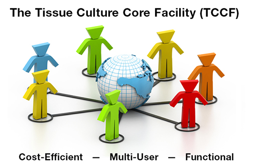 Tissue Culture Core Facility Cost-Efficient Graph