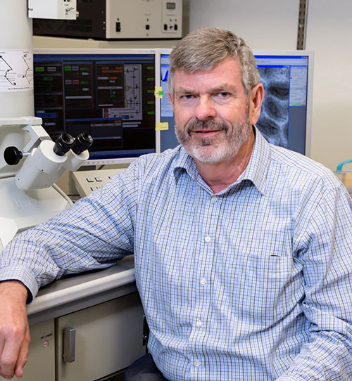 Scott Weaver Phd Department Of Microbiology And Immunology Utmb Home